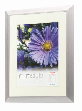 Triangular Gallery Aluminium Picture Frame