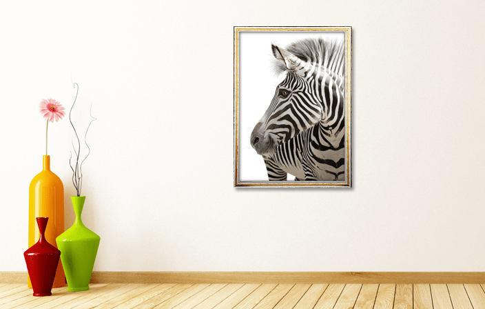 European Pine Wood Frame 6306 in white stained color with picture of zebra, placed in natural colours interior. Picture frame producer Debex Suisse AG.