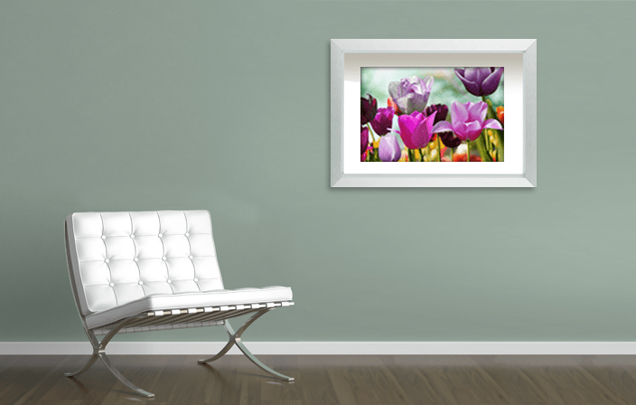 Aluminium 3D Frame 8680A1 in silver matt color, with tulips poster, placed in interior with green ceiling and a white chair. Picture frame producer Debex Suisse.