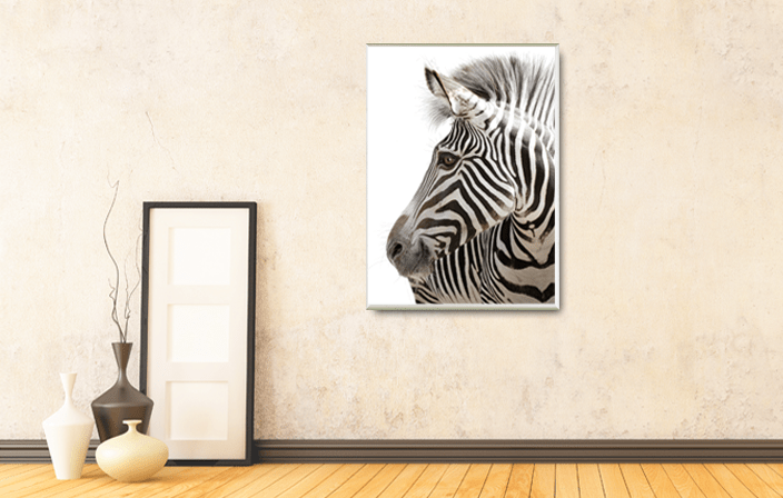 Aluminium Photo Frame in silver matt color, with poster of zebra, placed in natural colours interior. Picture frame producer Debex Suisse.