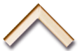 Corner sample of a modern black and gold picture frame