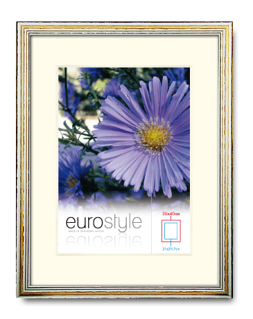 European Pine Wood Frame 6306 in white stained color with marketing inlay. Picture frame producer Debex Suisse AG.