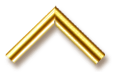 Golden metallic chevron arrow icon on black background