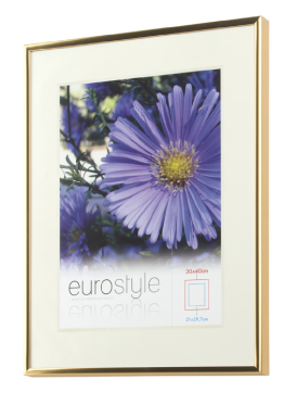 Thin Aluminium Poster Frame 9.0 mm