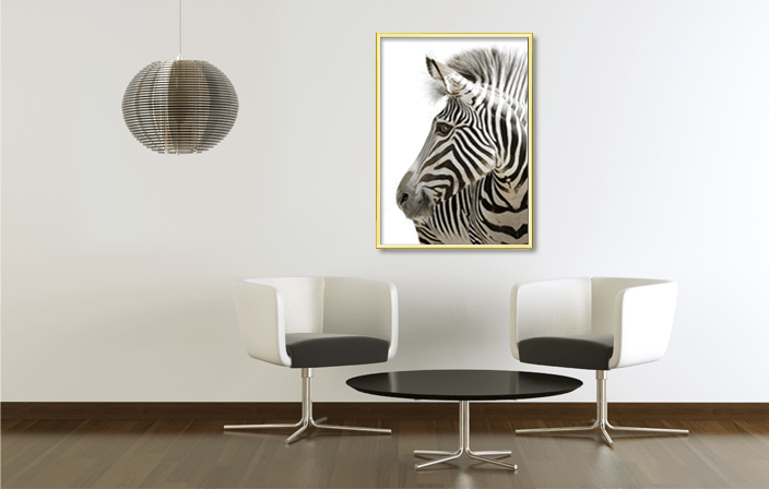 Aluminium Poster Frame in shiny gold color, with poster of zebra, placed in light colours interior. Picture frame producer Debex Suisse.