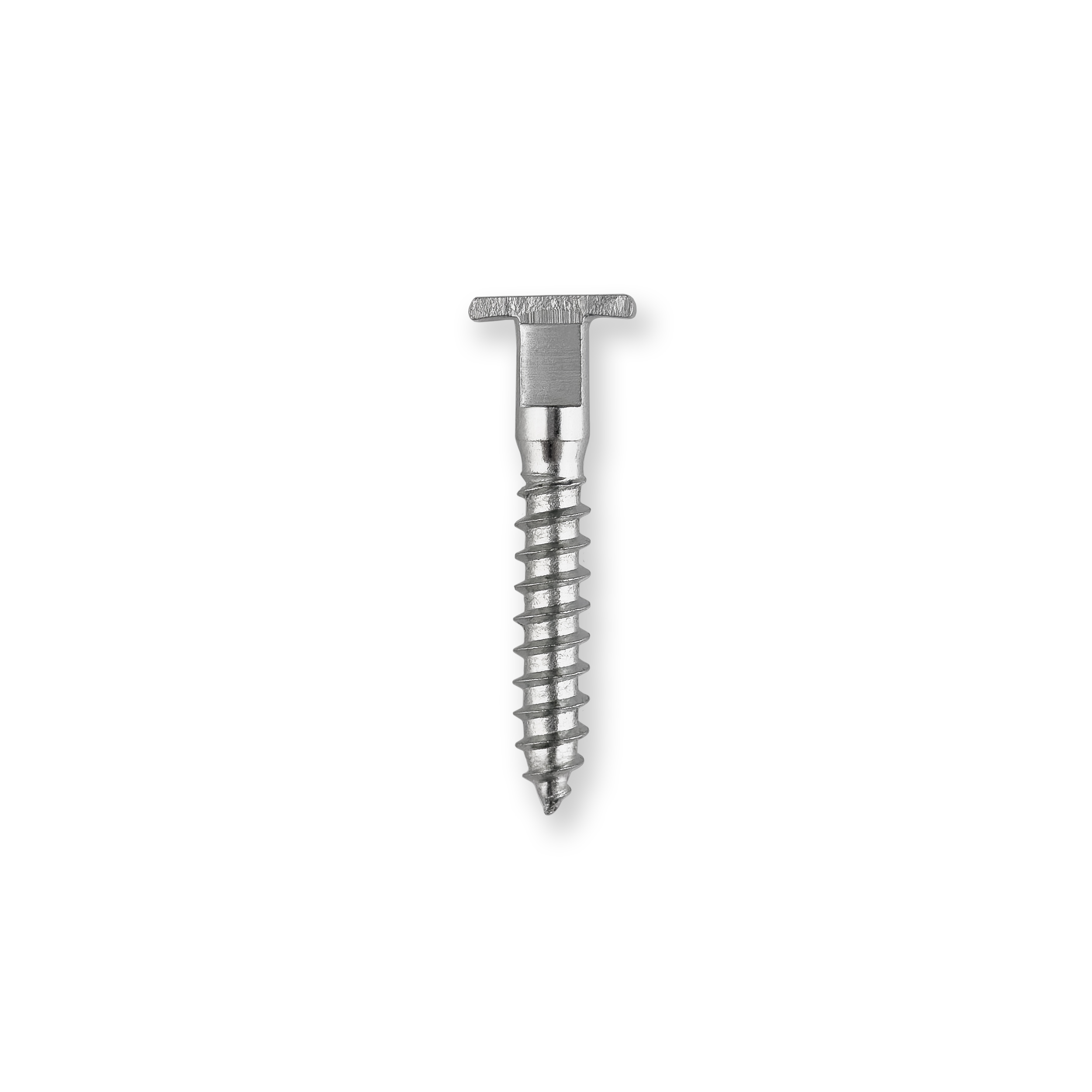 Stainless steel T-head screw for wood applications