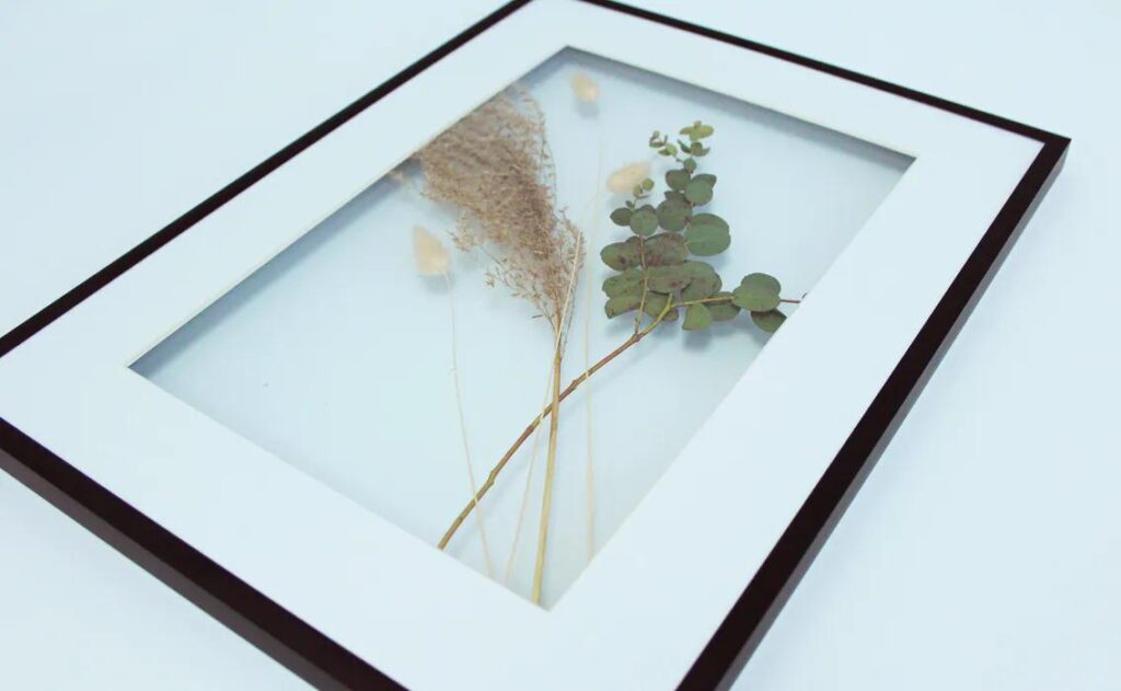 Pressed dried eucalyptus and grass in a black picture frame